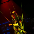 Club Vertigo -  Sterbinszky 2013.11.23. (szombat)