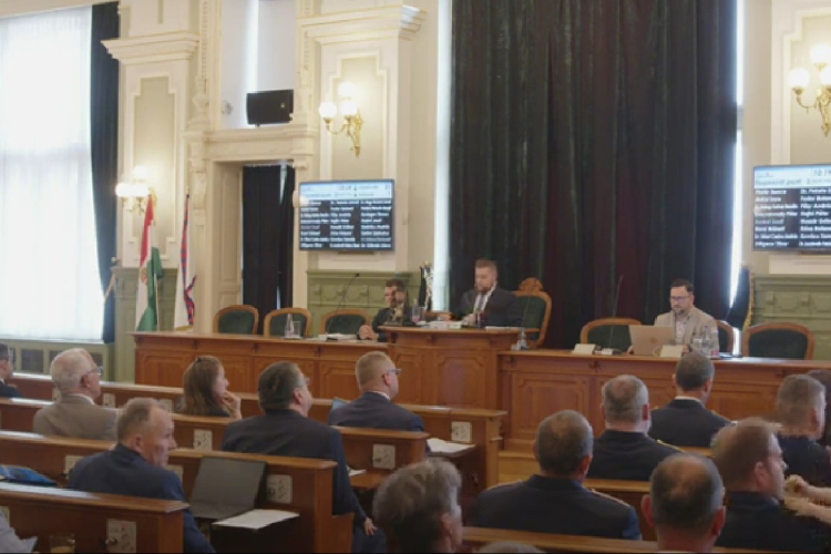 Nem lett védett a teljes kiserdő, 2,5 százalékán épülhet akár idősotthon is