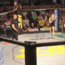 2015.05.09. Profi MMA Gála fotók:árpika