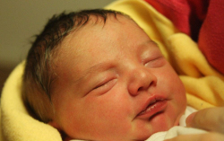 Mojzer Lehel Kristóf 