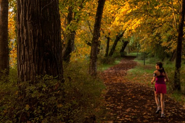 TIPPEK A BIZTONSÁGOS ÉS HATÉKONY ŐSZI, SZABADTÉRI EDZÉSEKHEZ