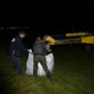 Olvasónk képei az árvízi védekezésről