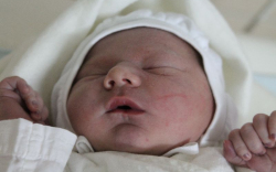 Szilágyi Szilárd Ábel