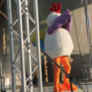 2017.05.24.EYOF Lángfogadó Ünnepség Győr Fotók:árpika 