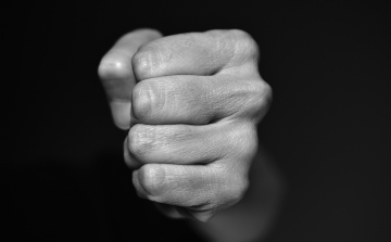 Családi veszekedés során halt meg a 16 éves papagáj