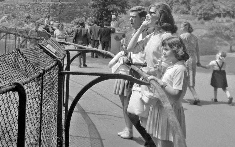 Kiállítás megnyitó: Zilia, Hamlet, Szindbád Ruttkai Éva Gábor Miklós, Latinovits Zoltán