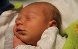 Megyesi Pál Zoltán