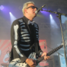 2017.08.19. Győri Augusztus 20. 3. nap Fotók:árpika 