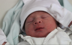 Lakatos Péter István 