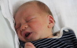 Borbély Balázs Sándor 