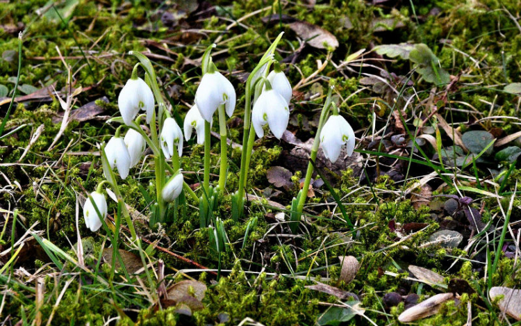 Tavaszias időjárás várható