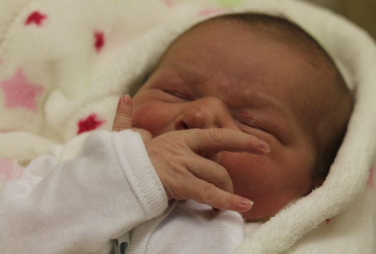 Silye Gréta Teodóra 