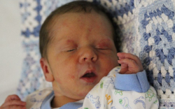 Horváth Ábel Mirkó