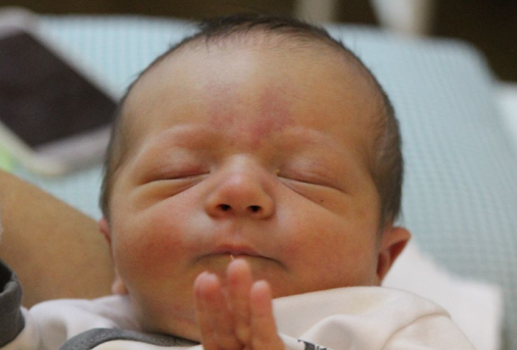 Németh Bálint Gergely 