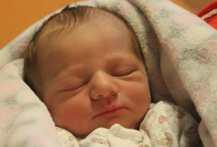 Majlinger-Fehér Hella Viola 