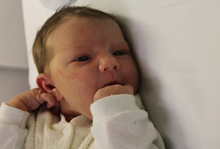 Gaszler Johanna Klaudia