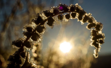 Sok napsütés, emellett kevés ónos eső várható a napokban