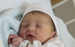 Stein-Székely Emese