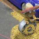 Tuning show - Fotók: Prém Zoltán