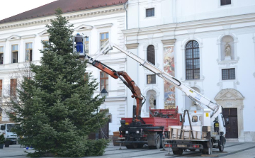 A város karácsonyfája