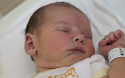 Tischler Bálint Noel 