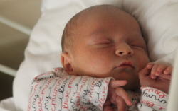 Tardi Krisztián Olivér 