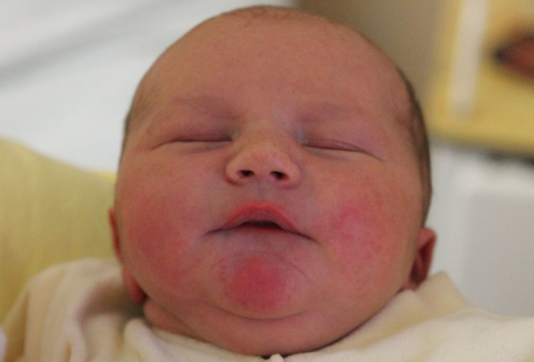 Mészáros Dániel István 