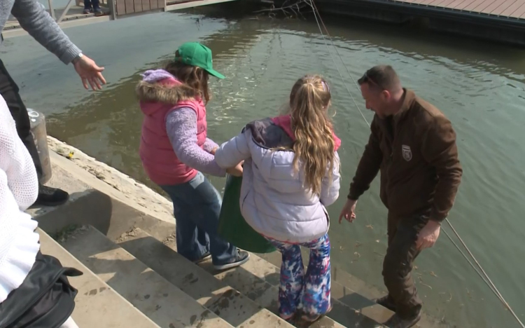 Gyerekek telepítettek halakat a Mosoni-Dunába
